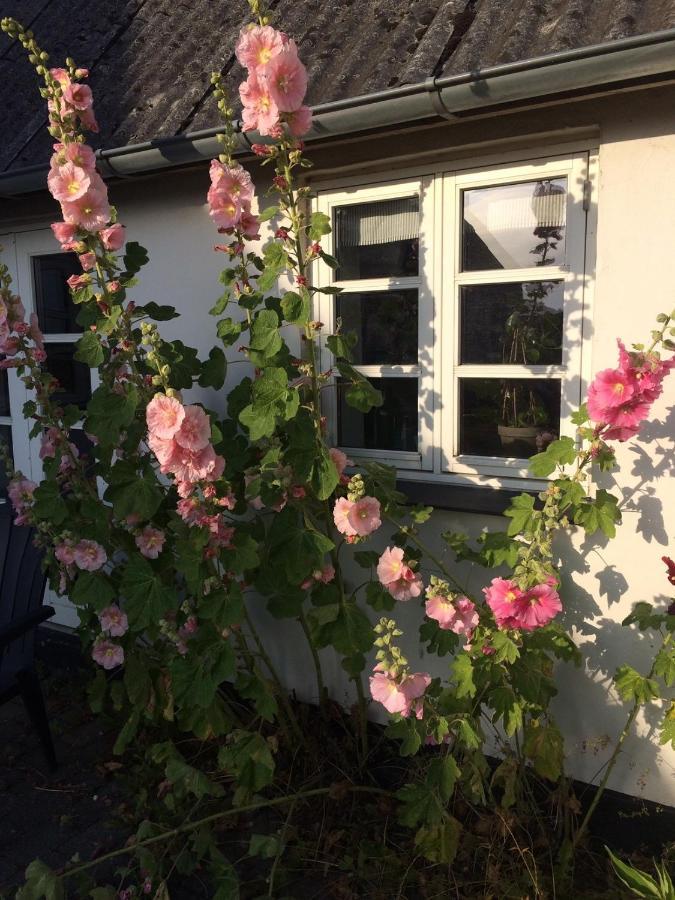 Aasesminde Bed & Breakfast Faborg Luaran gambar